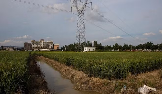 Một nhà máy tái chế nằm cạnh cánh đồng. Mùi nhựa đốt bao trùm thị trấn trong khi nước sông tại nhiều khu đen kịt vì ô nhiễm. 1