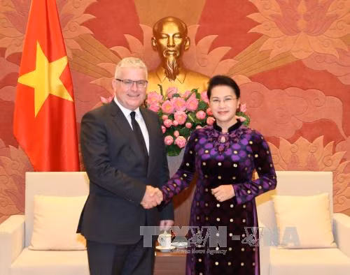 Chủ tịch Quốc hội Nguyễn Thị Kim Ngân tiếp Đại sứ Australia Craig Chittick tại Việt Nam đến chào xã giao. Ảnh: TTXVN