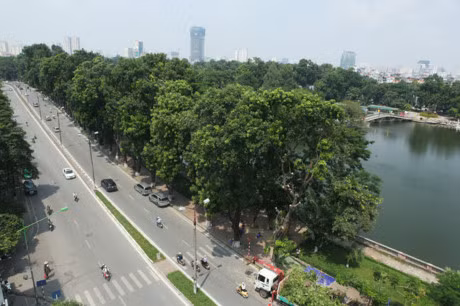 Ngam nhung 