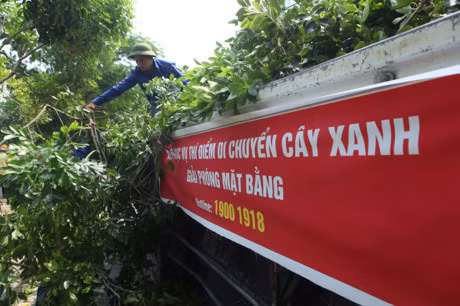 Ngam nhung 