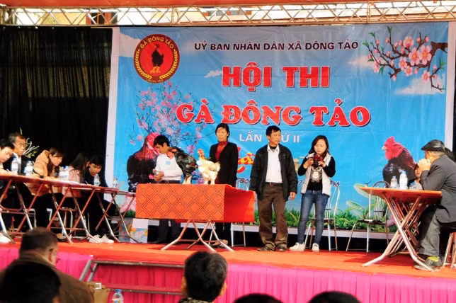 Độc đáo cuộc thi sắc đẹp của những chú “gà chân voi“