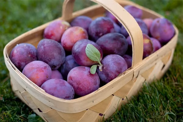 Loại quả mùa hè càng ăn càng giảm cân