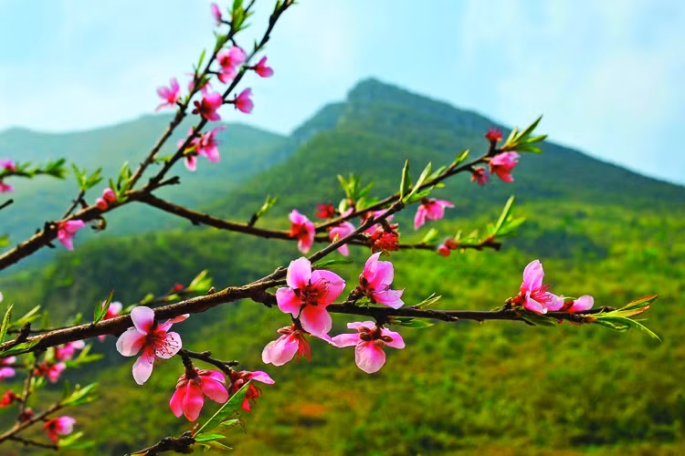 Ảnh minh họa. Ảnh minh họa.