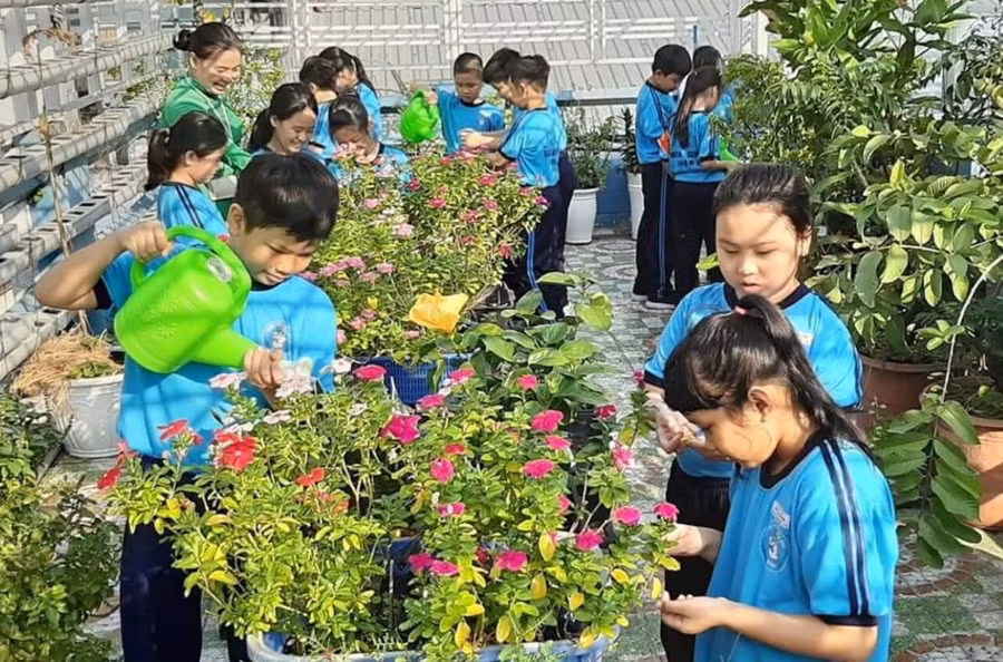 Trường Tiểu học Hoà Bình luôn nỗ lực xây dựng môi trường học tập thân thiện.