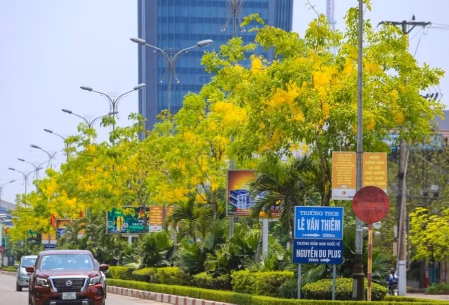 Phố mùa Hạ như một bức tranh đa sắc, tươi vui. Ảnh: Dương Huyên