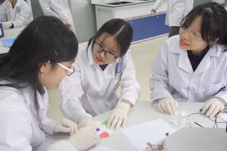 Học sinh Trường THPT Nguyễn Siêu (Hà Nội) trong nghiên cứu khoa học. Ảnh: Sỹ Điền