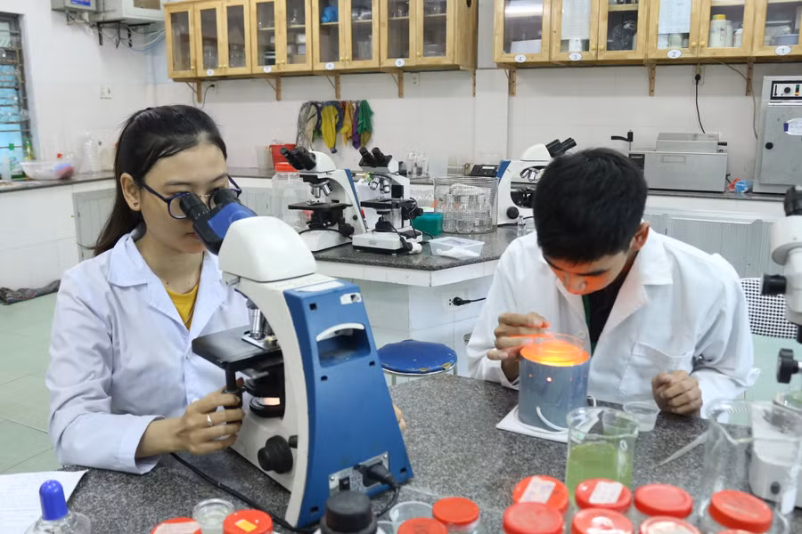 Sinh viên Trường Đại học Sư phạm - Đại học Đà Nẵng trong giờ thực hành. Ảnh: INT