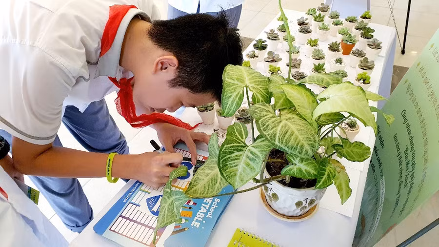 Học sinh hào hứng tham gia dự án ý nghĩa.