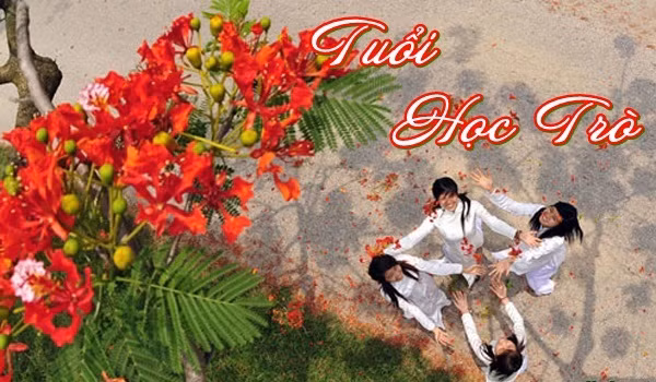 Ca khúc dự thi 94: Mong sao