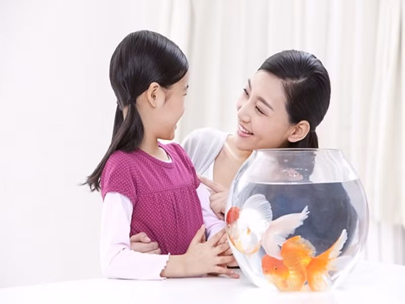 Trẻ cần học cách độc lập và kiềm chế cảm xúc. Ảnh minh hoạ.
