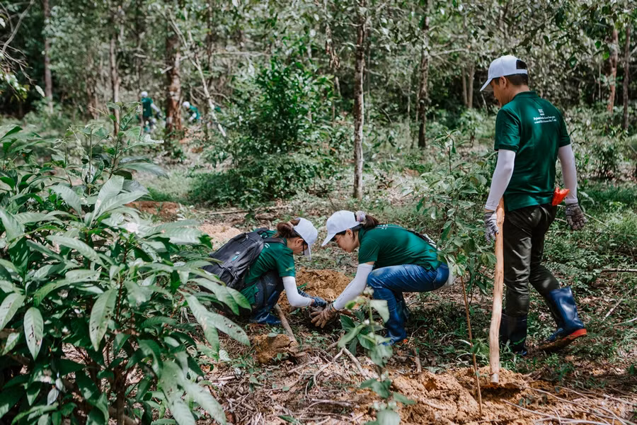 Năm 2022, Nestlé đóng góp 1.000 cây về Khu bảo tồn Thiên nhiên Văn hóa Đồng Nai. Năm 2022, Nestlé đóng góp 1.000 cây về Khu bảo tồn Thiên nhiên Văn hóa Đồng Nai.