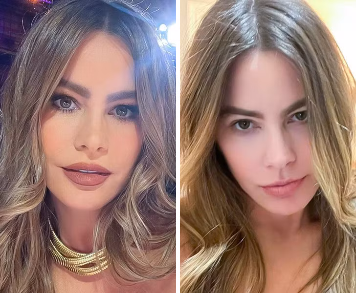 Sofia Vergara. Sofia Vergara.