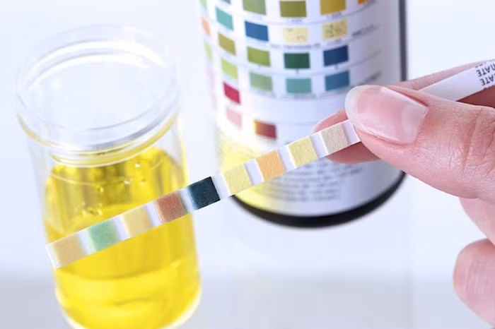 Những dấu hiệu chứng tỏ bạn là người khỏe mạnh hoặc 