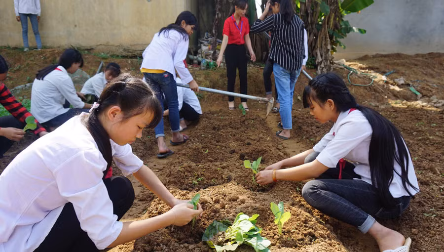 Giờ học công nghệ do cô giáo Nguyễn Thị Thu Hương giảng dạy. Ảnh: TG