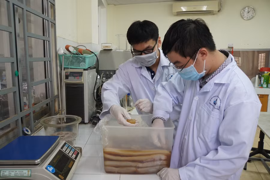 Sinh viên Trường ĐH Bách khoa, ĐHQG TPHCM trong một giờ nghiên cứu tại phòng thí nghiệm. Ảnh: TG
