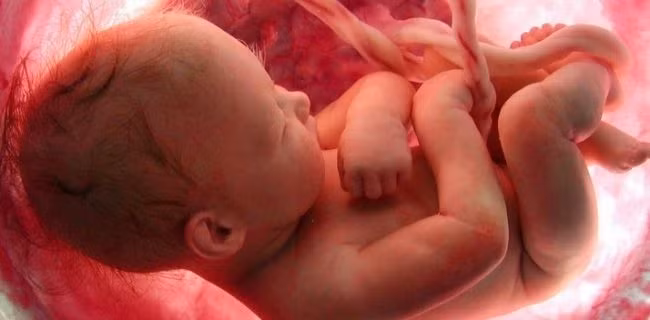 Sự thật những điều bé làm khi ở trong bụng mẹ nhiều người không ngờ được ảnh 1