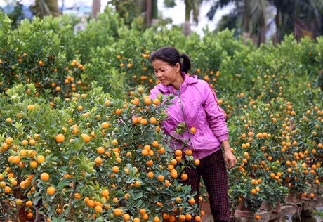 Quat mat mua, dao cho… thoi tiet - Anh 6