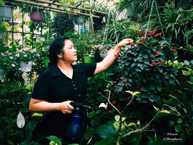 Cô giáo Hà Nội mách cách làm “nước thần” diệt sâu bọ, đuổi muỗi, lau nhà,… cực tốt ảnh 9