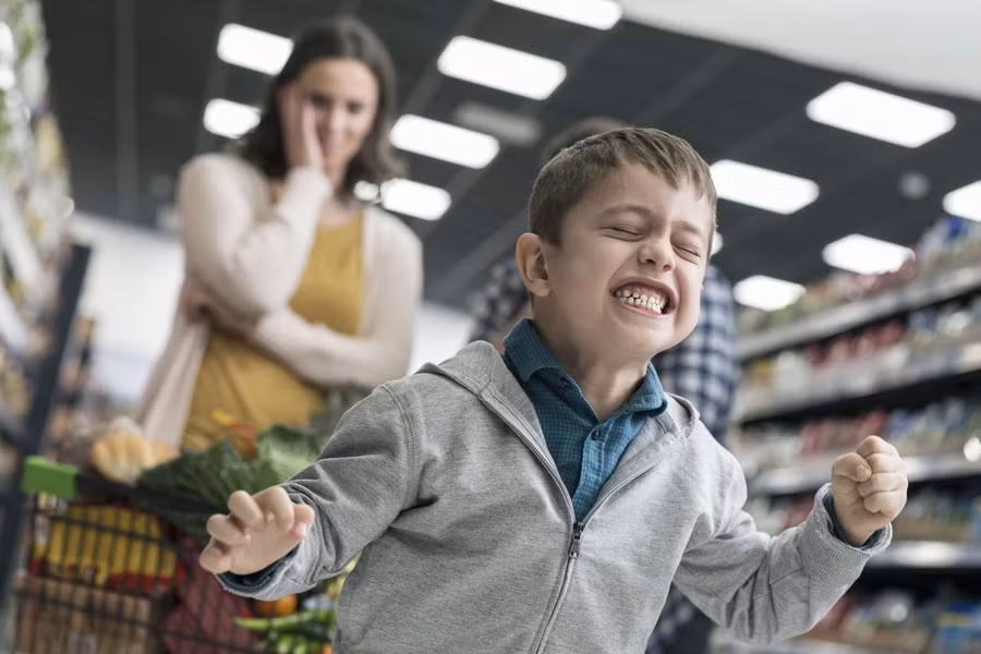 Cha mẹ hãy giải thích kế hoạch cho con bằng những thuật ngữ mà chúng có thể hiểu được. Cha mẹ hãy giải thích kế hoạch cho con bằng những thuật ngữ mà chúng có thể hiểu được.