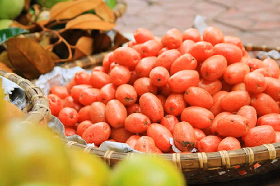 Hay là những lần bị mẹ mắng vì quần vải đen lấm tấm phấn trắng của nhót - đây là kết quả của việc cố mài nhót vào quần để trái nhót bay hết vảy màu bạc nhỏ li ti, lộ vỏ đỏ ửng mịn màng.