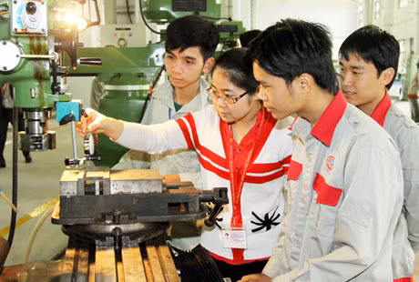 HƯỚNG NGHIỆP: Cứ đi lối sẽ thành đường