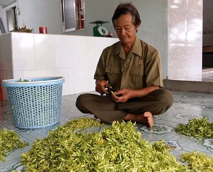 Ông Quách Thanh Sử là Cựu chiến binh sản xuất giỏi cấp tỉnh