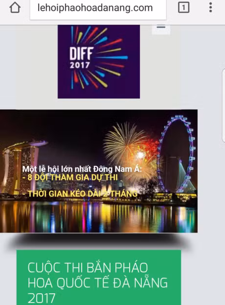 De nghi xu ly trang thong tin dien tu gia mao don vi thuc hien Le hoi phao hoa quoc te Da Nang 2017 - Anh 1