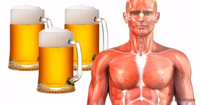 5 lý do tại sao BIA thực sự tốt cho bạn 5 ly do tai sao BIA thuc su tot cho ban