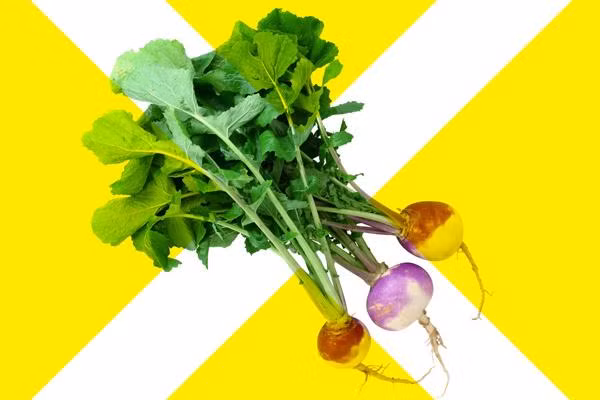 7 loại rau “quen mặt” nhưng bạn tuyệt đối tránh xa nếu mắc những bệnh này ảnh 7 7 loại rau “quen mặt” nhưng bạn tuyệt đối tránh xa nếu mắc những bệnh này ảnh 7