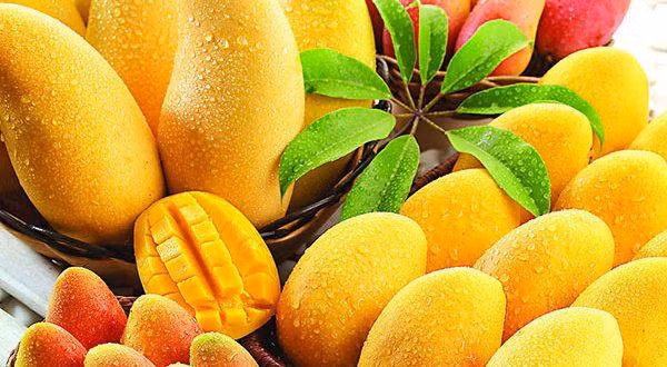Tránh xa những thực phẩm sau vào mùa nắng nóng nếu không muốn Tranh xa nhung thuc pham sau vao mua nang nong neu khong muon