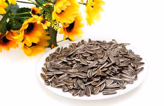 Tránh xa những thực phẩm sau vào mùa nắng nóng nếu không muốn Tranh xa nhung thuc pham sau vao mua nang nong neu khong muon