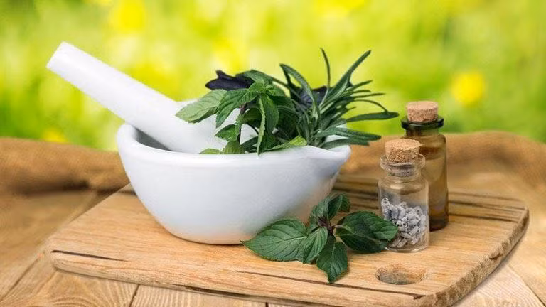Thảo dược được người Việt ưa dùng đến ngày nay.