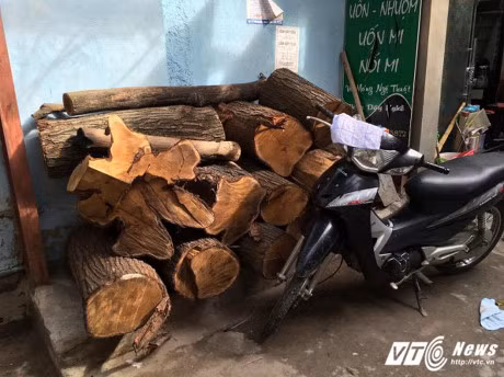 Cay co thu dam xuyen qua nha, hang chuc ho dan song trong so hai - Anh 3