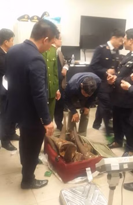 Bat giu lo hang hon 50 kg nghi sung te giac qua duong hang khong - Anh 1