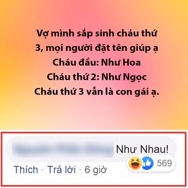 Cái tên nhận được "vote" nhiều nhất là: Như Nhau.
