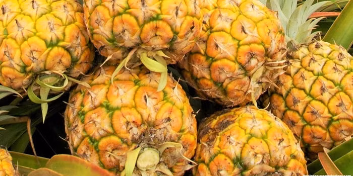 Những bí quyết giúp chị em chọn trái cây tươi ngon chuẩn điểm 10