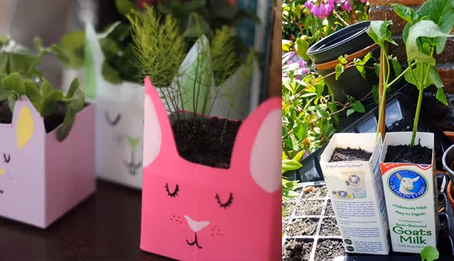 Nhìn là mê 7 kiểu trồng cây sáng tạo bất kể không gian