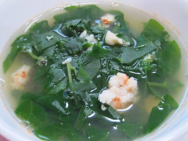 Nhieu cong dung chua benh tuyet voi cua RAU MONG TOI