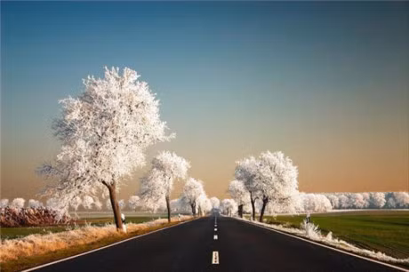 17 tuyet tac thien nhien hoan hao hon ca photoshop, khien ban khong the roi mat - Anh 9