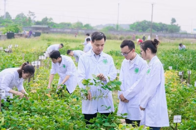 Ảnh minh họa ITN. Ảnh minh họa ITN.