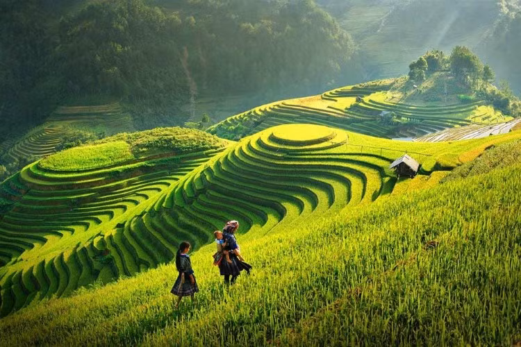 Cảnh và người Việt Bắc hiện lên trong vẻ đẹp quấn quýt, giao hòa. Ảnh minh họa: IT