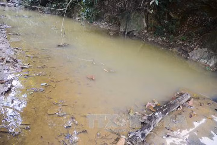 Phú Thọ: Chưa xử lý triệt để vụ xả thải gây ô nhiễm suối Cái