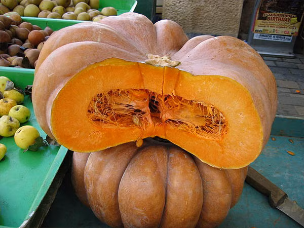 Uống nước ép rẻ tiền này trong vòng 1 tháng: Đẩy sỏi thận, thanh lọc gan, bổ tim ảnh 2 Uống nước ép rẻ tiền này trong vòng 1 tháng: Đẩy sỏi thận, thanh lọc gan, bổ tim ảnh 2