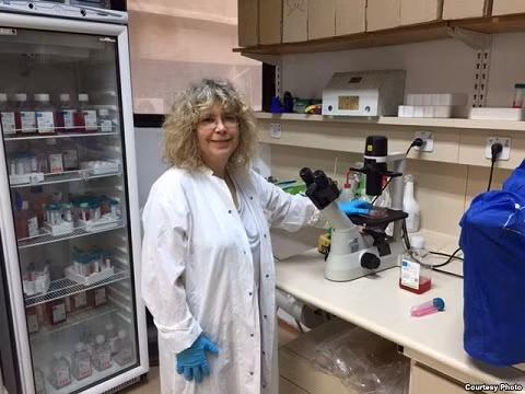 Giáo sư vi sinh vật Rina Rosin - Arbesfeld trong phòng thí nghiệm tại Đại học Tel Aviv