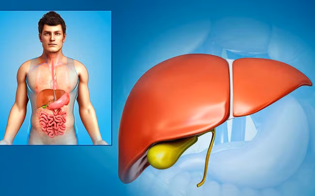 TS Mỹ tiết lộ công thức quét sạch độc tố ở gan chỉ trong 24 giờ rất phù hợp với người Việt