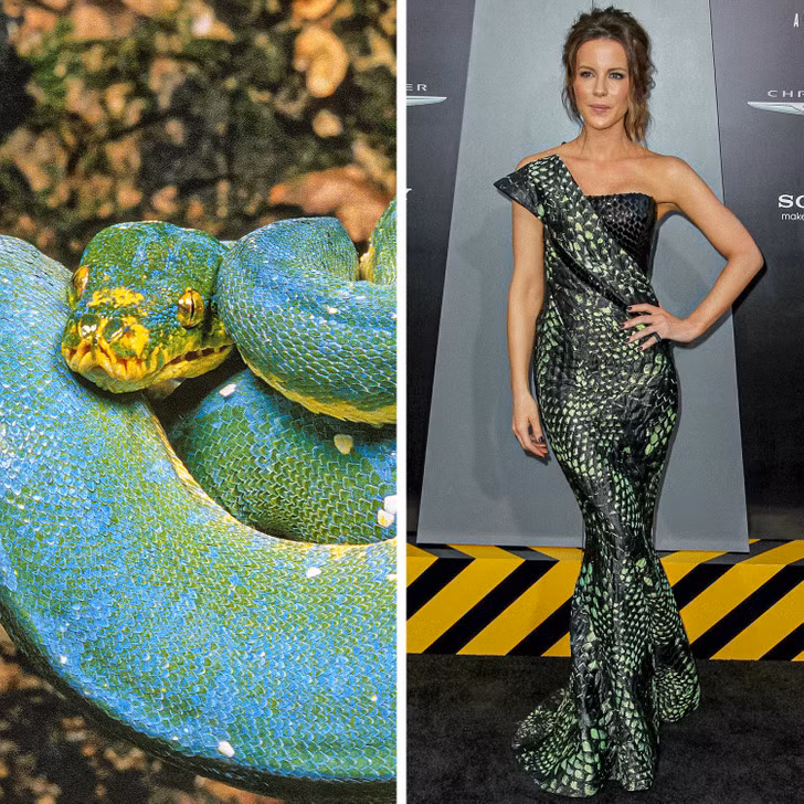 Con rắn - Kate Beckinsale