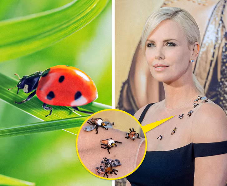 Bọ rùa - Charlize Theron