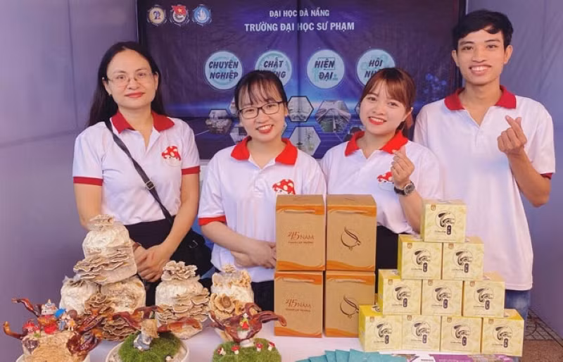 Trà túi lọc hoa nấm thiên nhiên, một dự án khởi nghiệp của sinh viên Trường ĐH Sư phạm, ĐH Đà Nẵng.
