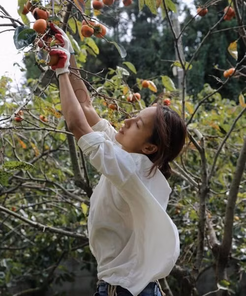 Lee Hyori - từ 