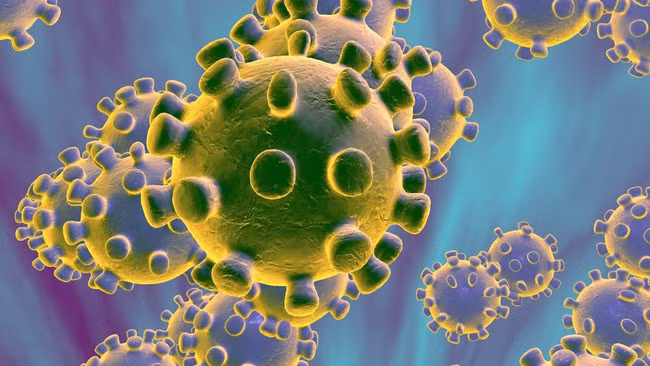 Phòng bệnh viêm phổi cấp do virus corona: Dùng xà phòng hay dung dịch sát khuẩn mới đem lại hiệu quả tốt nhất?